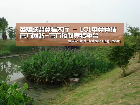 案例展示四(图1)
