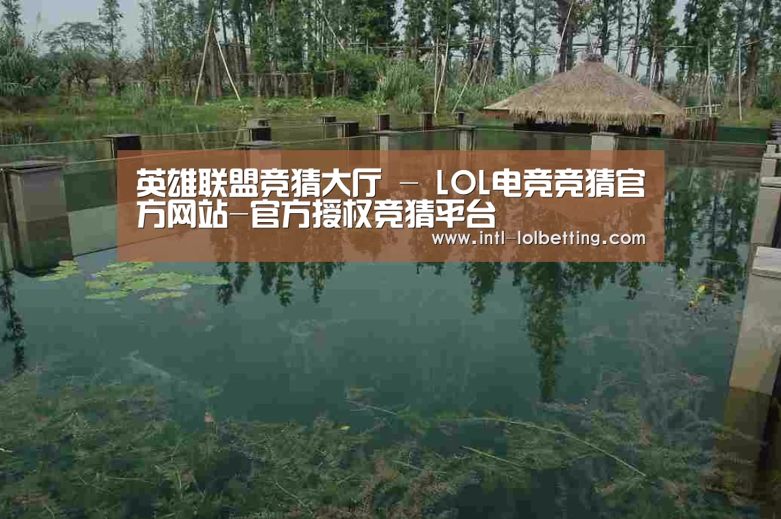 案例展示二