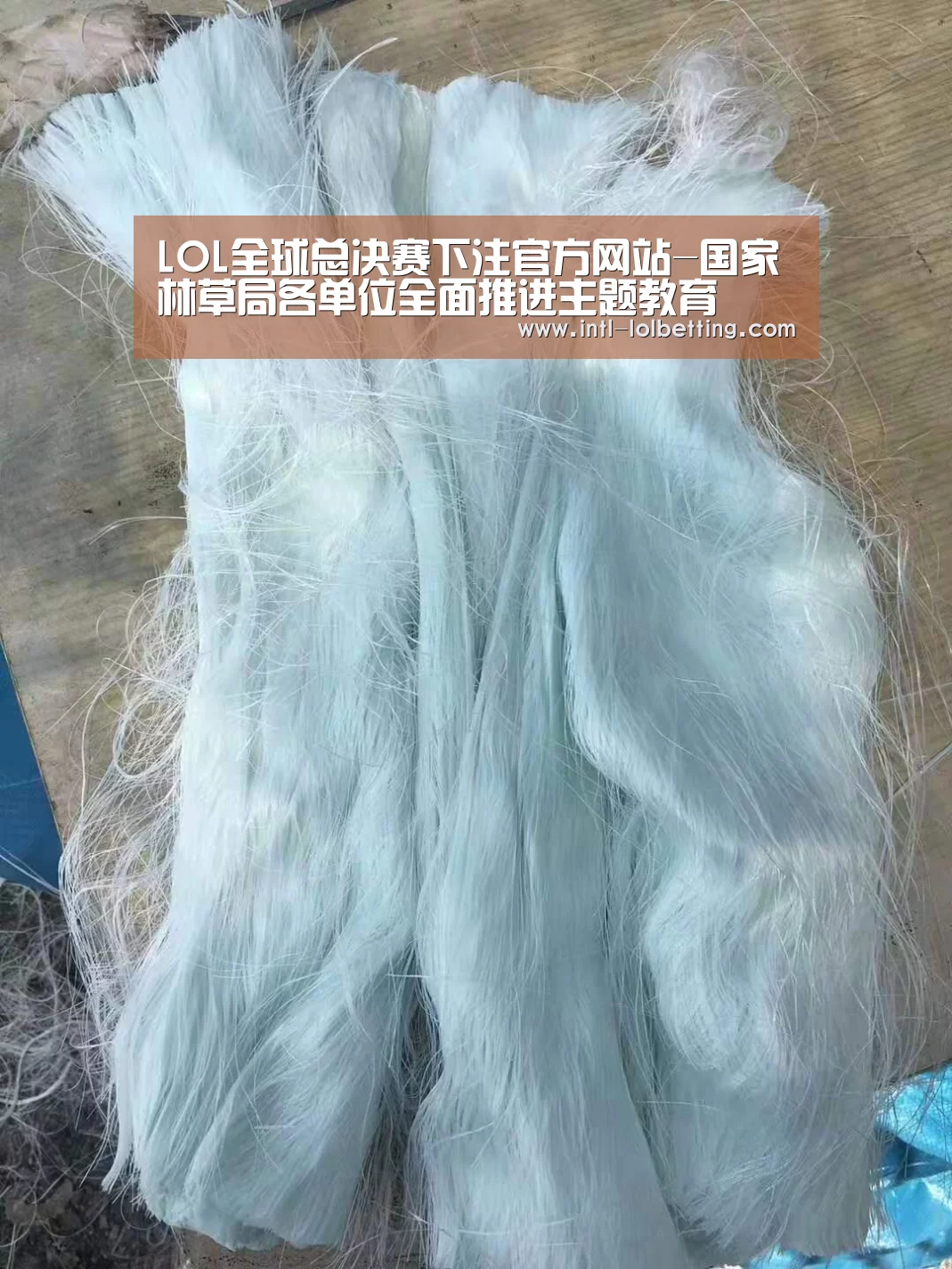 LOL全球总决赛下注官方网站-国家林草局各单位全面推进主题教育(图3) 英雄联盟竞猜大厅